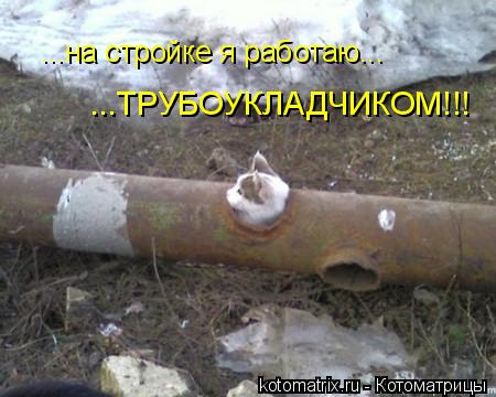Котоматрица: ...на стройке я работаю... ...ТРУБОУКЛАДЧИКОМ!!!