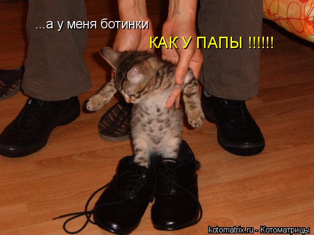 ...а у меня ботинки КАК У ПАПЫ !!!!!!... Котоматрица: ...а у меня ботинки КАК У ПАПЫ !!!!!!