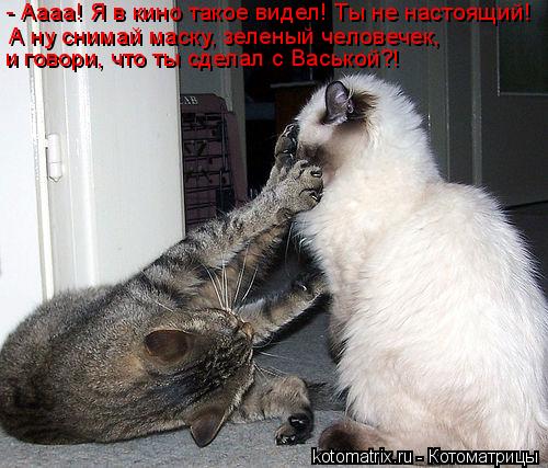 - Аааа! Я в кино такое видел! Ты не настоящий! А ну снимай маску, зеленый человечек, и говори, что ты... Котоматрица: - Аааа! Я в кино такое видел! Ты не настоящий! А ну снимай маску, зеленый человечек, и говори, что ты сделал с Васькой?!