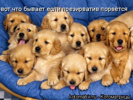 вот что бывает если презирватив порвётся... Котоматрица: вот что бывает если презирватив порвётся