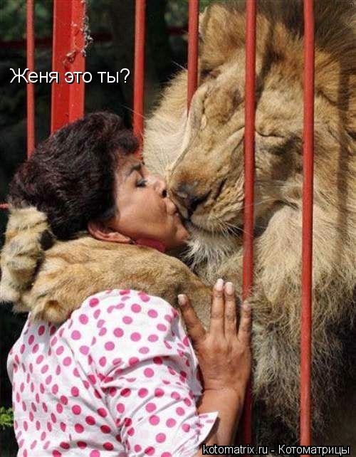 Женя это ты?... Котоматрица: Женя это ты?