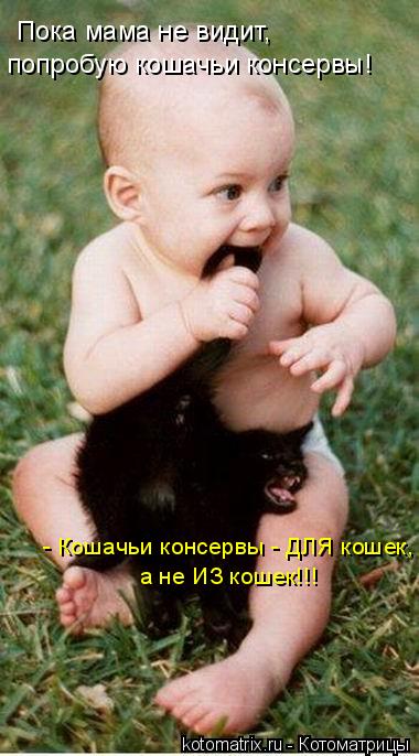 Пока мама не видит, попробую кошачьи консервы! - Кошачьи консервы - ДЛЯ кошек, а не ИЗ кошек!!!... Котоматрица: Пока мама не видит, попробую кошачьи консервы! - Кошачьи консервы - ДЛЯ кошек, а не ИЗ кошек!!!