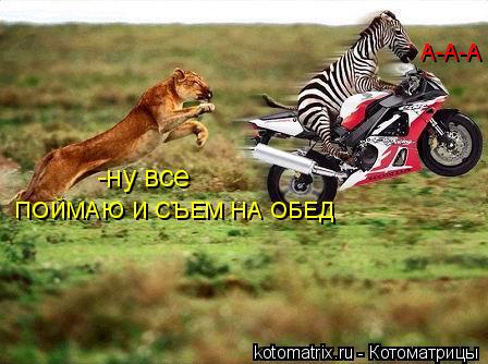 -ну все ПОЙМАЮ И СЪЕМ НА ОБЕД А-А-А... Котоматрица: -ну все ПОЙМАЮ И СЪЕМ НА ОБЕД А-А-А