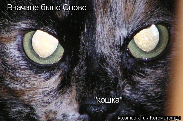Котоматрица: Вначале было Слово... "кошка"