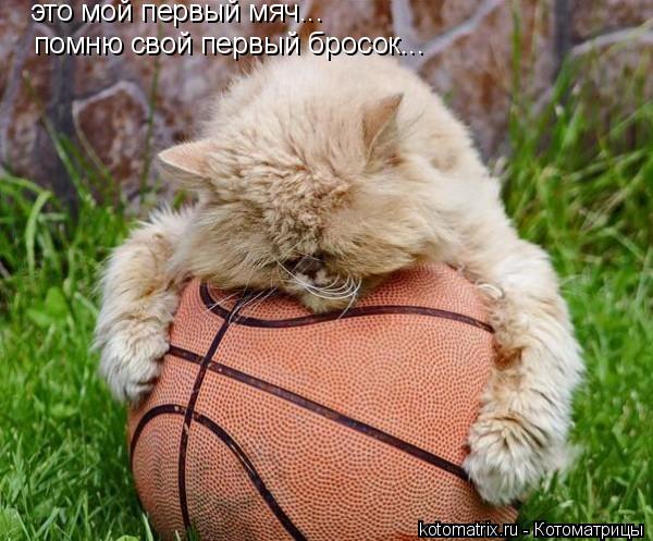 это мой первый мяч... помню свой первый бросок...... Котоматрица: это мой первый мяч... помню свой первый бросок...