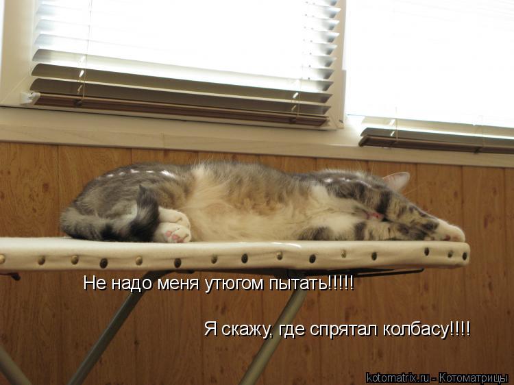 Котоматрица: Не надо меня утюгом пытать!!!!! Я скажу, где спрятал колбасу!!!!