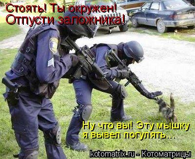 Ну что вы! Эту мышку я вывел погулять... Стоять! Ты окружен! Отпусти заложника!... Котоматрица: Ну что вы! Эту мышку я вывел погулять... Стоять! Ты окружен! Отпусти заложника!