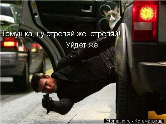 Томушка, ну стреляй же, стреляй! Уйдет же!... Котоматрица: Томушка, ну стреляй же, стреляй! Уйдет же!