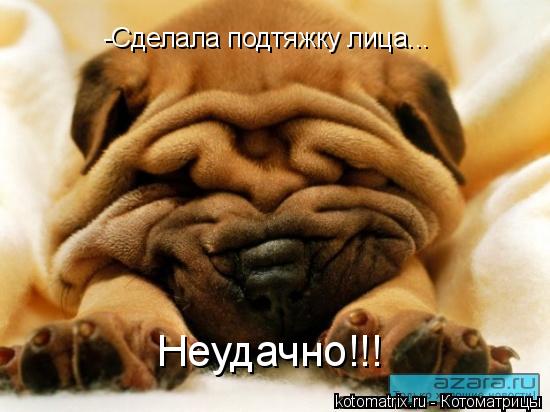 -Сделала подтяжку лица... Неудачно!!!... Котоматрица: -Сделала подтяжку лица... Неудачно!!!