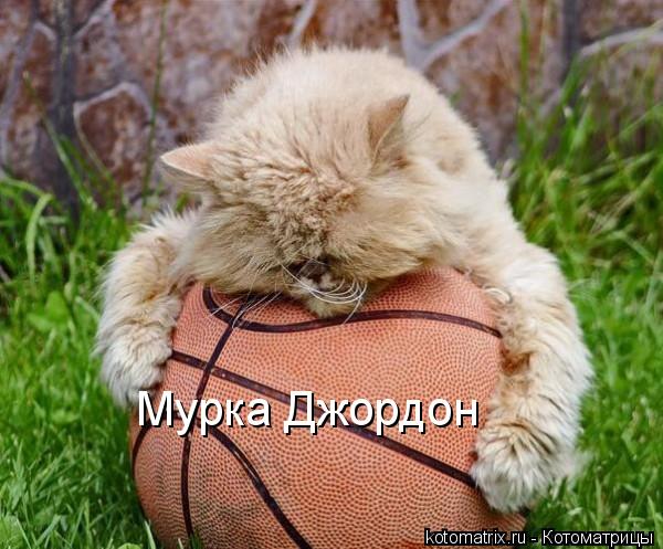Мурка Джордон... Котоматрица: Мурка Джордон