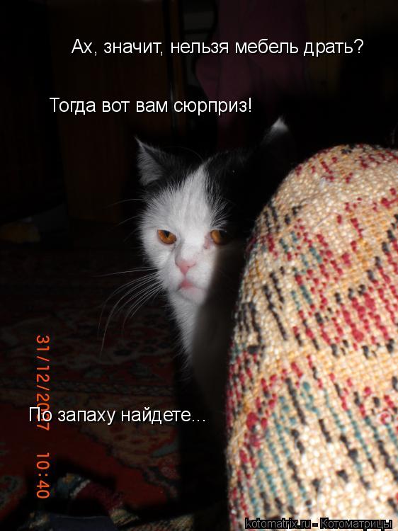 Ах, значит, нельзя мебель драть? Тогда вот вам сюрприз! По запаху найдете...... Котоматрица: Ах, значит, нельзя мебель драть? Тогда вот вам сюрприз! По запаху найдете...