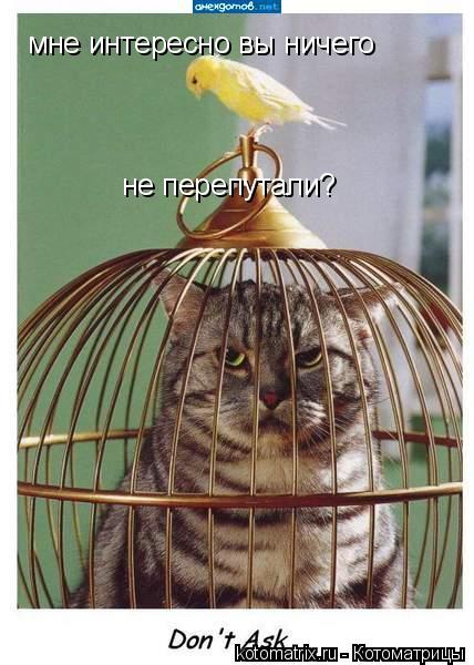 мне интересно вы ничего не перепутали?... Котоматрица: мне интересно вы ничего не перепутали?