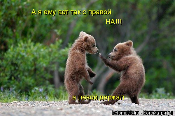 А я ему вот так с правой НА!!! а левой держал... Котоматрица: А я ему вот так с правой НА!!! а левой держал