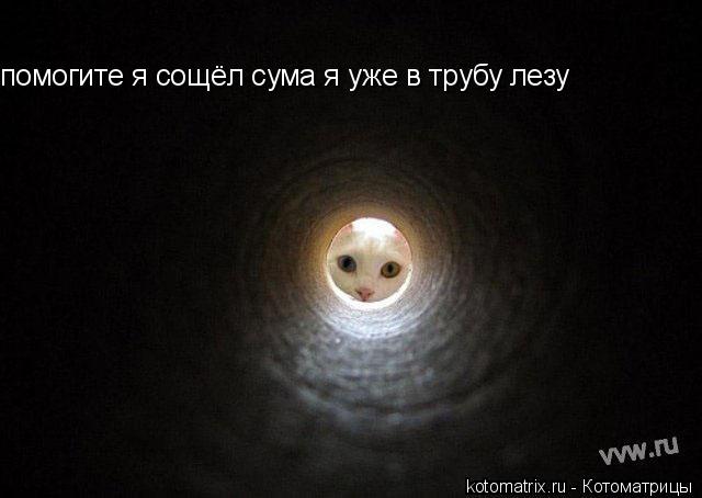 помогите я сощёл сума я уже в трубу лезу... Котоматрица: помогите я сощёл сума я уже в трубу лезу