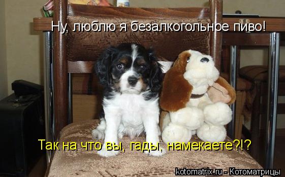 Ну, люблю я безалкогольное пиво! Так на что вы, гады, намекаете?!?... Котоматрица: Ну, люблю я безалкогольное пиво! Так на что вы, гады, намекаете?!?