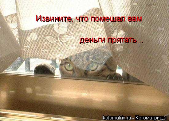 Извините, что помешал вам деньги прятать...... Котоматрица: Извините, что помешал вам деньги прятать...