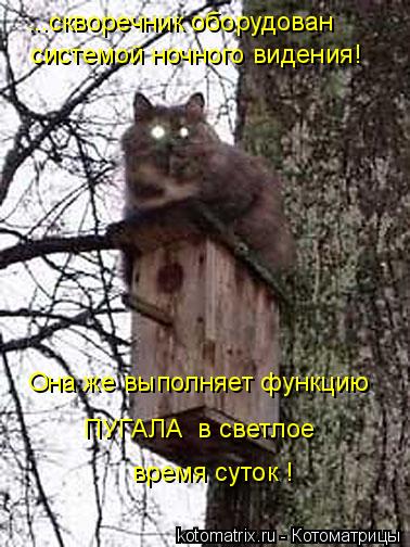 ...скворечник оборудован системой ночного видения! Она же выполняет функцию ПУГАЛА в светлое время с... Котоматрица: ...скворечник оборудован системой ночного видения! Она же выполняет функцию ПУГАЛА в светлое время суток !