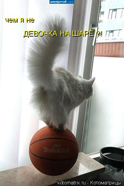 чем я не ДЕВОЧКА НА ШАРЕ ?!... Котоматрица: чем я не ДЕВОЧКА НА ШАРЕ ?!