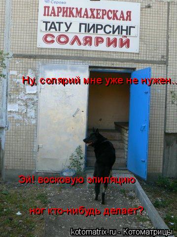 Ну, солярий мне уже не нужен... Эй! восковую эпиляцию ног кто-нибудь делает?... Котоматрица: Ну, солярий мне уже не нужен... Эй! восковую эпиляцию ног кто-нибудь делает?