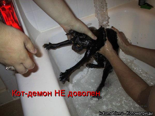Кот-демон НЕ доволен... Котоматрица: Кот-демон НЕ доволен