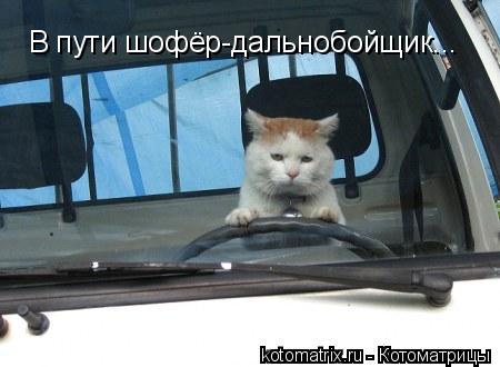 В пути шофёр-дальнобойщик...... Котоматрица: В пути шофёр-дальнобойщик...