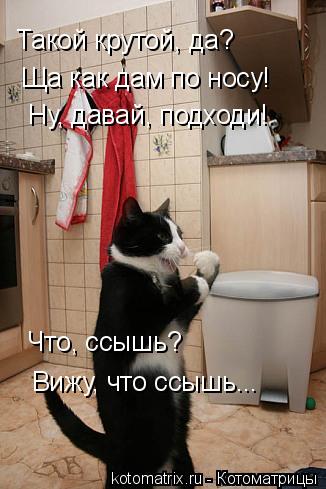 Такой крутой, да? Ща как дам по носу! Ну, давай, подходи! Что, ссышь? Вижу, что ссышь...... Котоматрица: Такой крутой, да? Ща как дам по носу! Ну, давай, подходи! Что, ссышь? Вижу, что ссышь...
