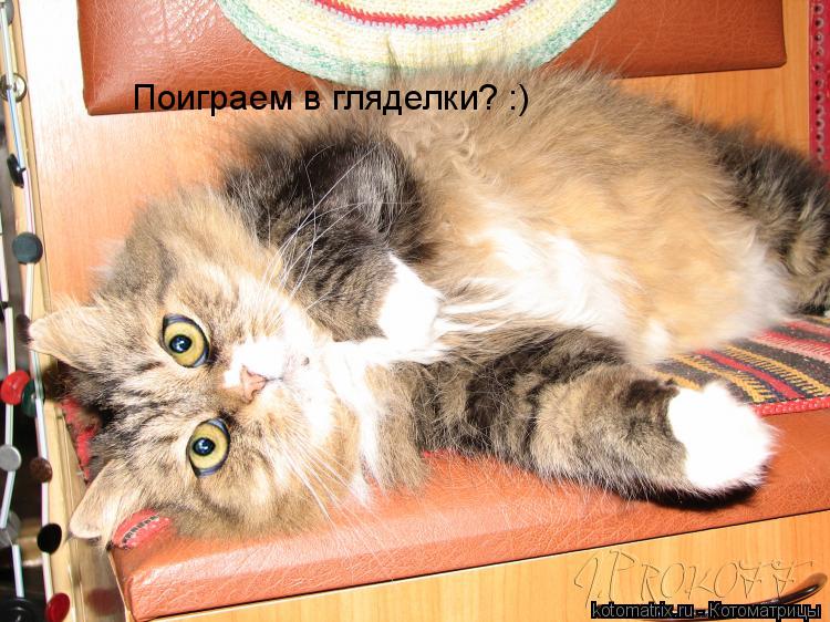 Поиграем в гляделки? :)... Котоматрица: Поиграем в гляделки? :)