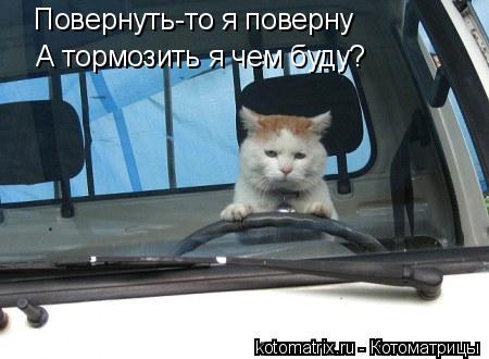 Повернуть-то я поверну А тормозить я чем буду?... Котоматрица: Повернуть-то я поверну А тормозить я чем буду?