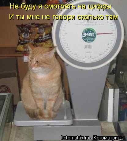 Не буду я смотреть на цифры И ты мне не говори сколько там... Котоматрица: Не буду я смотреть на цифры И ты мне не говори сколько там