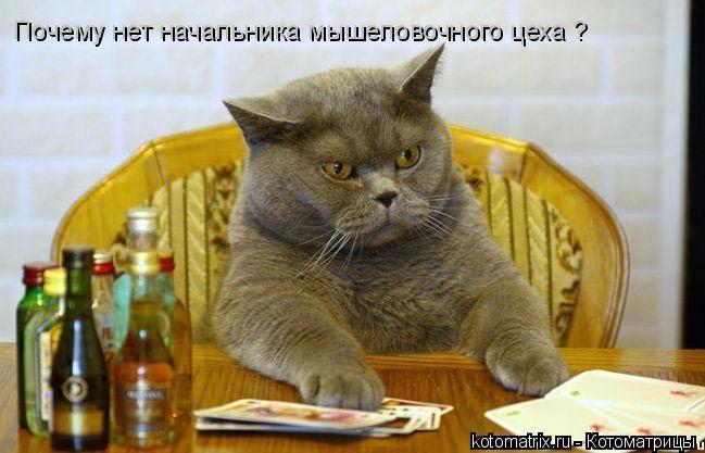 Почему нет начальника мышеловочного цеха ?... Котоматрица: Почему нет начальника мышеловочного цеха ?