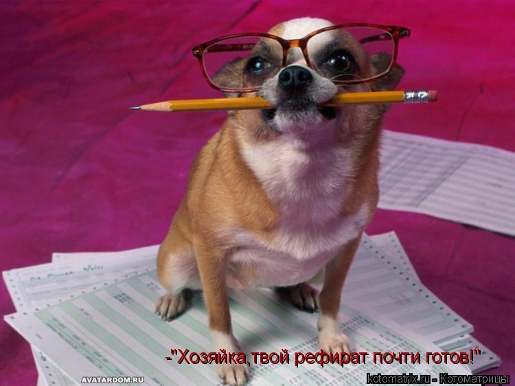 -"Хозяйка,твой рефират почти готов!"... Котоматрица: -"Хозяйка,твой рефират почти готов!"