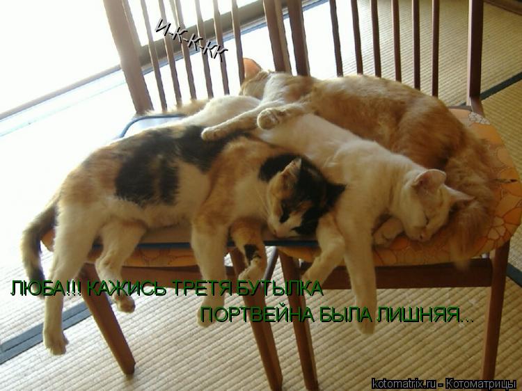 ЛЮБА!!! КАЖИСЬ ТРЕТЯ БУТЫЛКА ПОРТВЕЙНА БЫЛА ЛИШНЯЯ... И-К-К-КК... Котоматрица: ЛЮБА!!! КАЖИСЬ ТРЕТЯ БУТЫЛКА ПОРТВЕЙНА БЫЛА ЛИШНЯЯ... И-К-К-КК