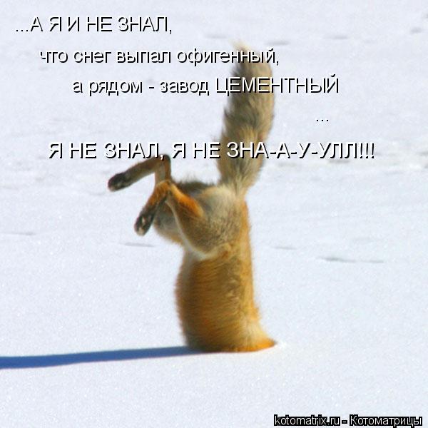 ...А Я И НЕ ЗНАЛ, а рядом - завод ЦЕМЕНТНЫЙ что снег выпал офигенный, ... Я НЕ ЗНАЛ, Я НЕ ЗНА-А-У-УЛЛ... Котоматрица: ...А Я И НЕ ЗНАЛ, а рядом - завод ЦЕМЕНТНЫЙ что снег выпал офигенный, ... Я НЕ ЗНАЛ, Я НЕ ЗНА-А-У-УЛЛ!!!