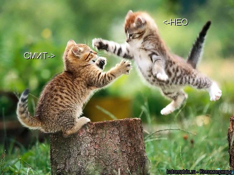 <-НЕО СМИТ->... Котоматрица: <-НЕО СМИТ->