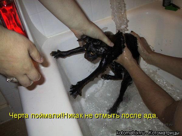 Черта поймали!Никак не отмыть после ада.... Котоматрица: Черта поймали!Никак не отмыть после ада.