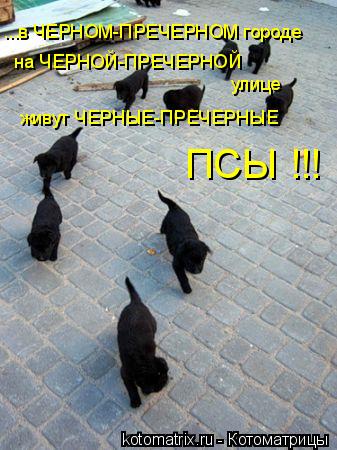 ...в ЧЕРНОМ-ПРЕЧЕРНОМ городе на ЧЕРНОЙ-ПРЕЧЕРНОЙ живут ЧЕРНЫЕ-ПРЕЧЕРНЫЕ ПСЫ !!! улице... Котоматрица: ...в ЧЕРНОМ-ПРЕЧЕРНОМ городе на ЧЕРНОЙ-ПРЕЧЕРНОЙ живут ЧЕРНЫЕ-ПРЕЧЕРНЫЕ ПСЫ !!! улице
