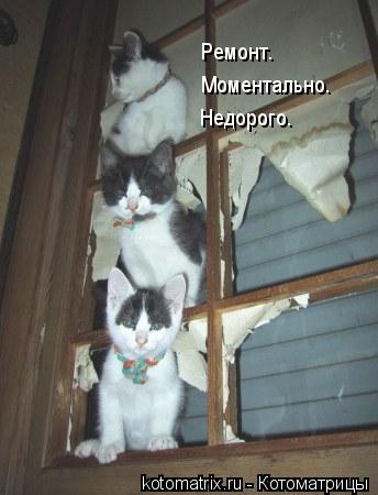 Ремонт. Моментально. Недорого.... Котоматрица: Ремонт. Моментально. Недорого.