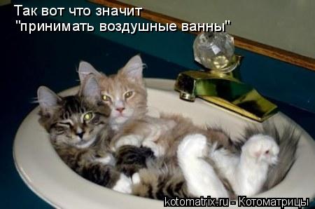 Так вот что значит "принимать воздушные ванны"... Котоматрица: Так вот что значит "принимать воздушные ванны"