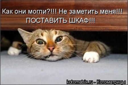 Котоматрица: Как они могли?!!! Не заметить меня!!! ПОСТАВИТЬ ШКАФ!!!