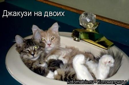 Джакузи на двоих... Котоматрица: Джакузи на двоих