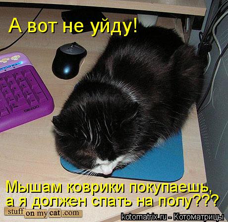 А вот не уйду! Мышам коврики покупаешь, а я должен спать на полу???... Котоматрица: А вот не уйду! Мышам коврики покупаешь, а я должен спать на полу???