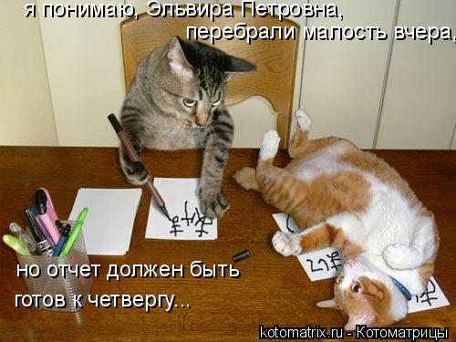 я понимаю, Эльвира Петровна, перебрали малость вчера, но отчет должен быть готов к четвергу...... Котоматрица: я понимаю, Эльвира Петровна, перебрали малость вчера, но отчет должен быть готов к четвергу...