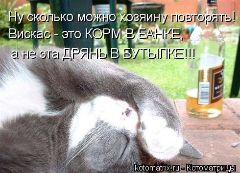 Ну сколько можно хозяину повторять! Вискас - это КОРМ В БАНКЕ, а не эта ДРЯНЬ В БУТЫЛКЕ!!!... Котоматрица: Ну сколько можно хозяину повторять! Вискас - это КОРМ В БАНКЕ, а не эта ДРЯНЬ В БУТЫЛКЕ!!!