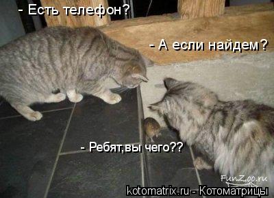 - Есть телефон? - А если найдем? - Ребят,вы чего??... Котоматрица: - Есть телефон? - А если найдем? - Ребят,вы чего??