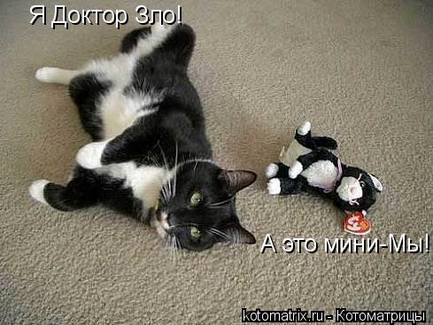 Я Доктор Зло! А это мини-Мы!... Котоматрица: Я Доктор Зло! А это мини-Мы!