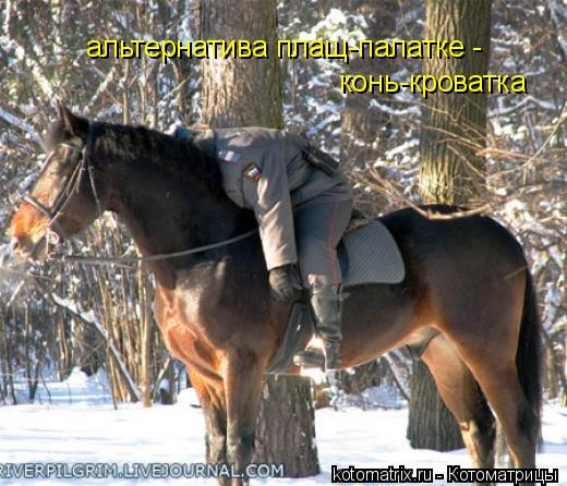 альтернатива плащ-палатке - конь-кроватка... Котоматрица: альтернатива плащ-палатке - конь-кроватка