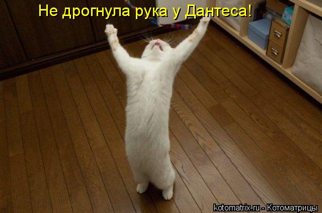 Не дрогнула рука у Дантеса!... Котоматрица: Не дрогнула рука у Дантеса!