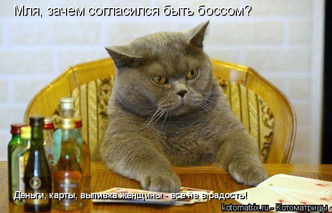Мля, зачем согласился быть боссом? Деньги, карты, выпивка женщины - все не в радость! Деньги, карты,... Котоматрица: Мля, зачем согласился быть боссом? Деньги, карты, выпивка женщины - все не в радость! Деньги, карты, выпивка женщины - все не в радость!