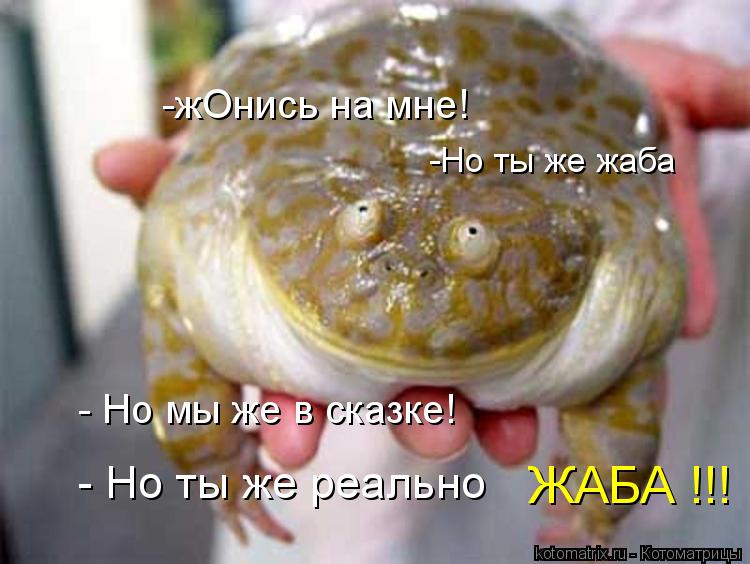 -жОнись на мне! -Но ты же жаба - Но мы же в сказке! - Но ты же реально ЖАБА !!!... Котоматрица: -жОнись на мне! -Но ты же жаба - Но мы же в сказке! - Но ты же реально ЖАБА !!!