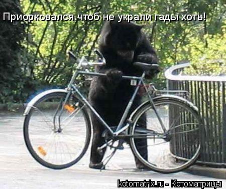 Приорковался,чтоб не украли гады хоть!... Котоматрица: Приорковался,чтоб не украли гады хоть!